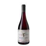 Montes Alpha Pinot Noir
